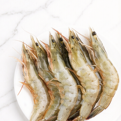 Frozen White Shrimp